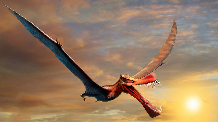 This Spear-Mouthed 'Dragon' Soared Over Dinosaurs Millions of Years Ago