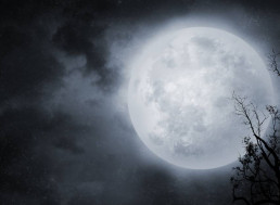 This Friday, Don't Miss the Full Wolf Moon Eclipse