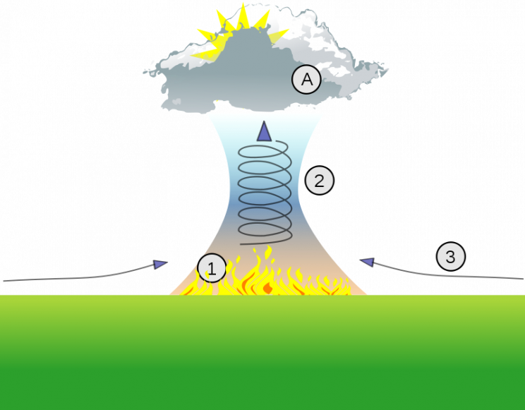 Australia Bushfires Are Generating Thunderstorms That Can Start More Fires