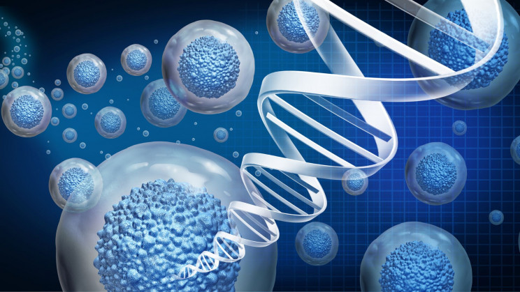 Molecule therapy effective against Parkinson's disease in rats is also safe for humans