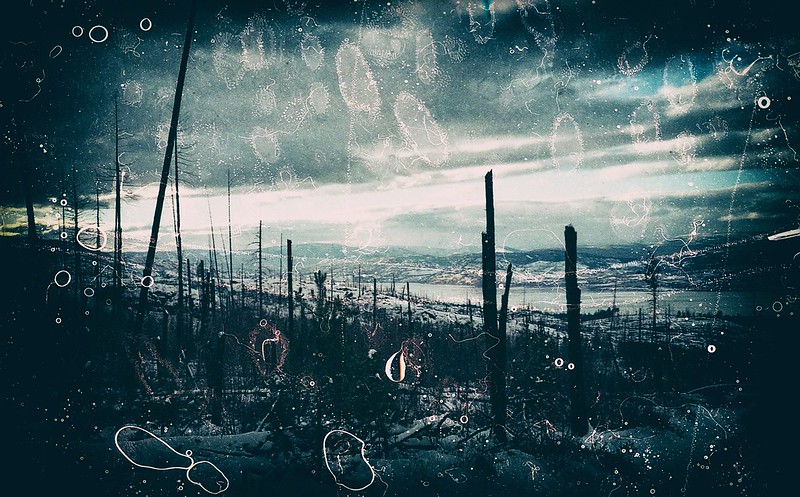 nuclear autumn