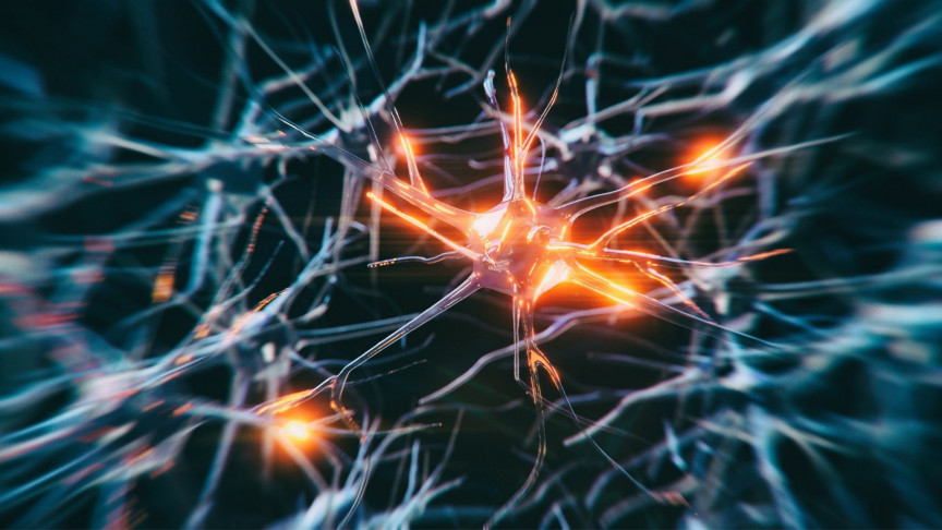 Parkinson's disease: A Parkinson's Protein's Live Views Could Lead to New Treatments - Vimarsana News