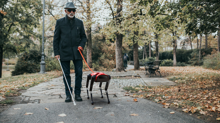 Meet AlphaDog: China's Answer to Boston Dynamics' Spot the Robot Meet AlphaDog: China's Answer to Boston Dynamics' Spot the Robot