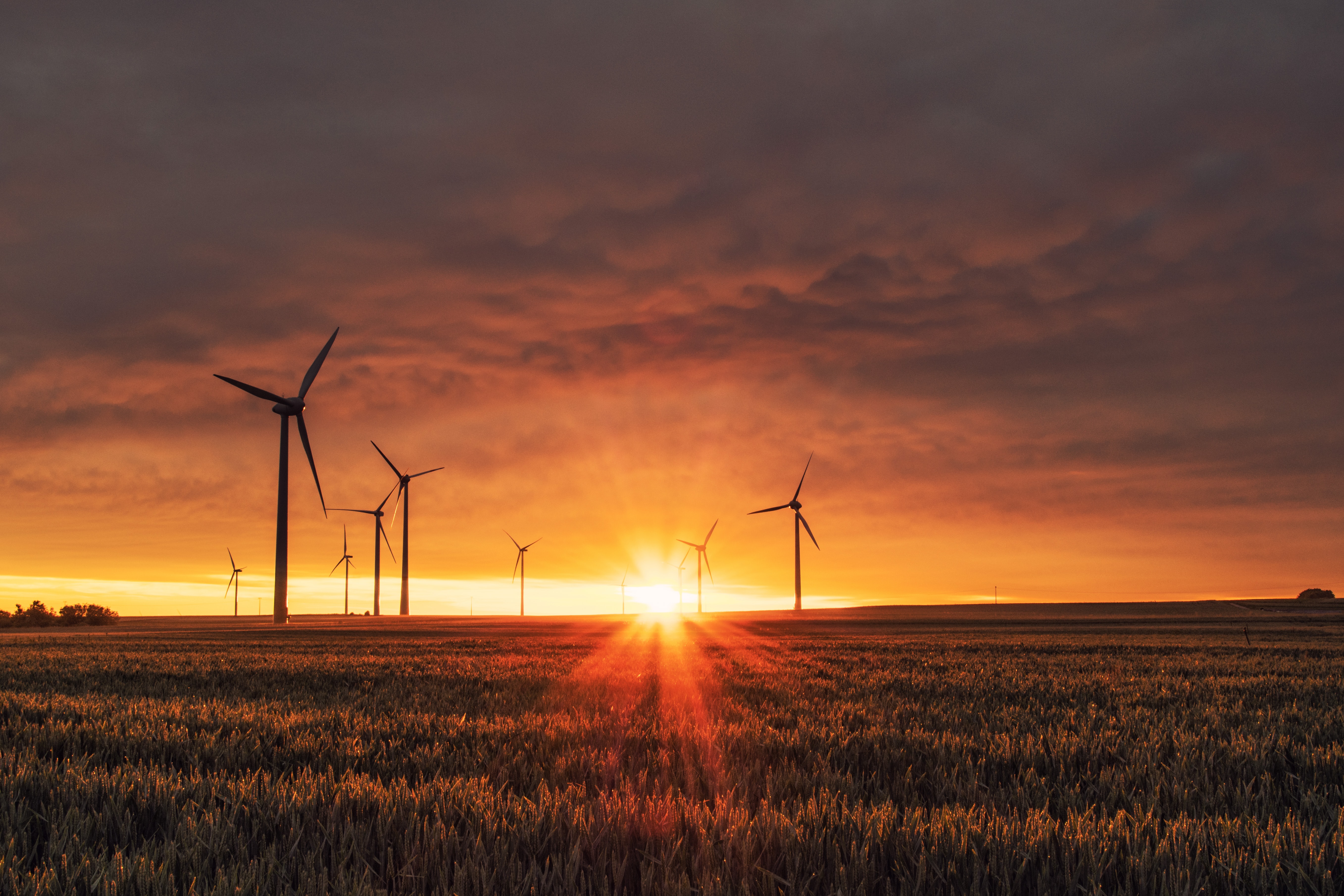 An Environmentalist Speaks: Only Nuclear Energy Can Save Our World An Environmentalist Speaks: Only Nuclear Energy Can Save Our World