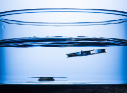 Inspired by Spiders and Ants, Researchers Create Unsinkable Metal