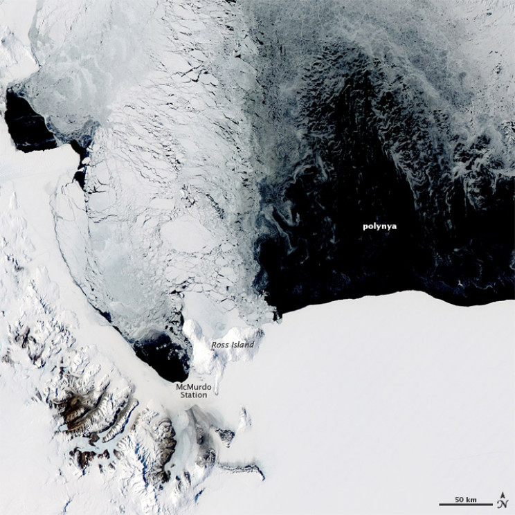 Polynya Observed in Antarctica Polynya Observed in Antarctica