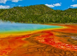 New Discovery Could Make Methane-consuming Bacteria The Future of Fuel