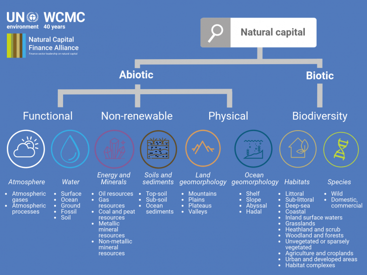 Classification System for Renewable and Non Renewable Natural Sources Classification System for Renewable and Non Renewable Natural Sources