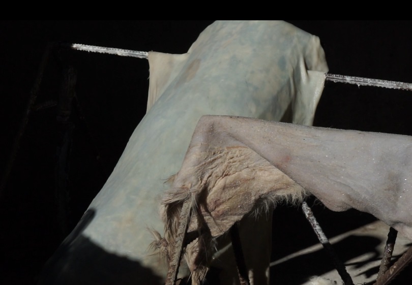 parchment making dry