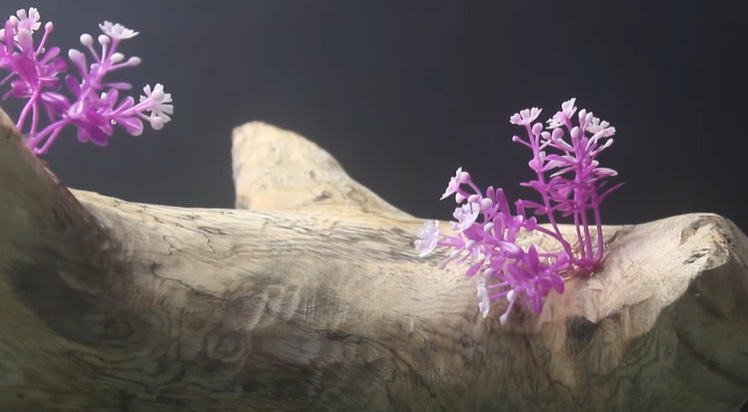 bonsai fountain decorate tree