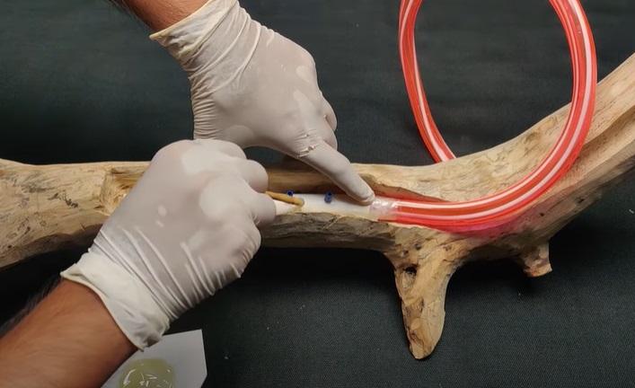 desk bonsai tree glue tube