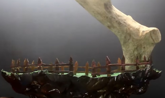 bonsai tree underside base