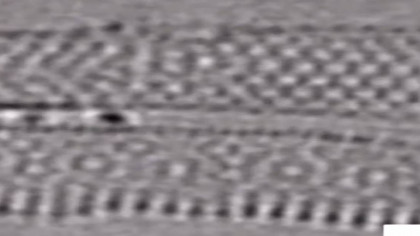 For the First Time, Scientists Capture the Chemical Bonds between Atoms Forming and Breaking