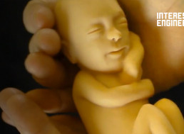 The Miracle and Science of Life from Conception to Birth