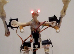 Watch Creepy Cyborg Chickens Fighting in an Epic Battle of Claws