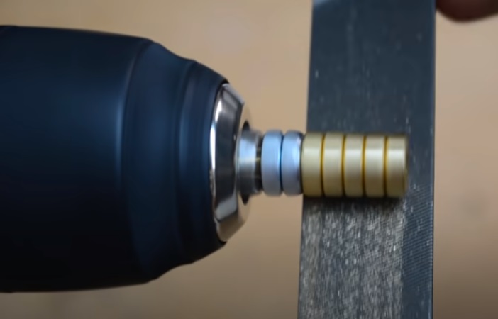 nut and bolt wasp abdomen nuts