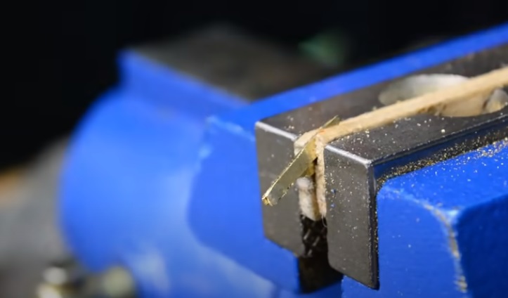 nut and bolt wasp antennae