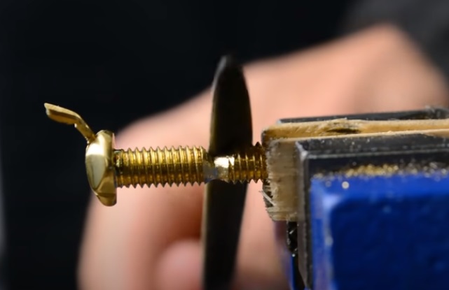 nut and bolt wasp form body
