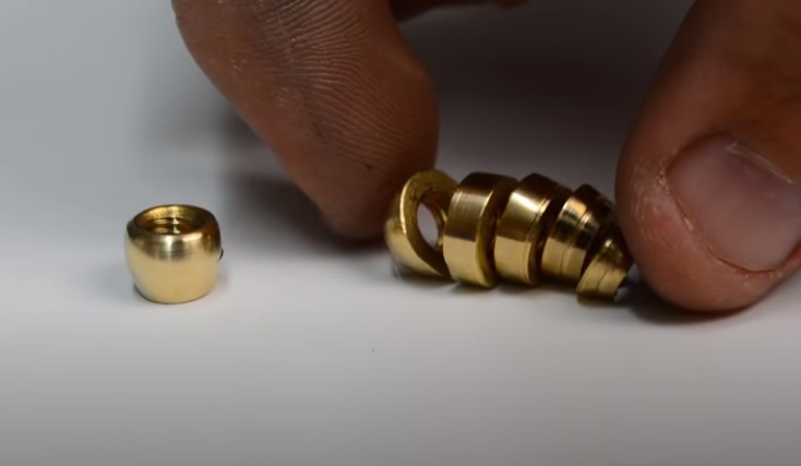 nut and bolt wasp head and abdomen