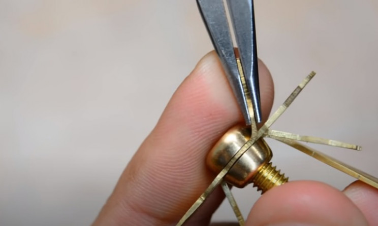 nut and bolt wasp bend wings and legs