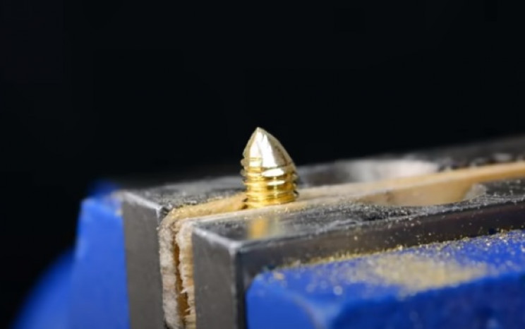 nut and bolt wasp stinger