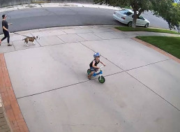 Neighbor Takes Action After Kid Keeps Riding His Bicycle in His Driveway