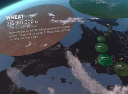Video Compares the Areas Needed to Supply Different Foods