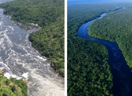 Why Is It Near Impossible to Determine the Longest River on Earth?