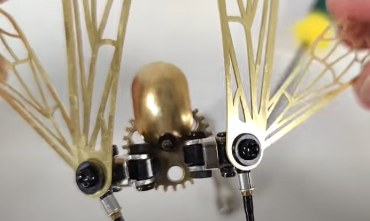 diy wasp model wings