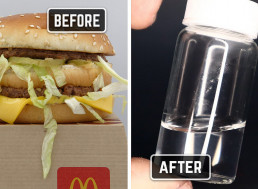 Mad Scientist Purifies a Big Mac from McDonald's