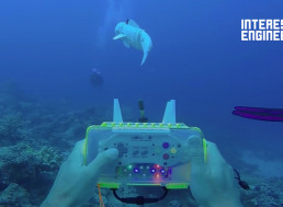 The Amazing World of Soft Robotics