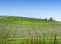 An Adventurous Team Recreates the Windows XP Wallpaper 'Bliss'