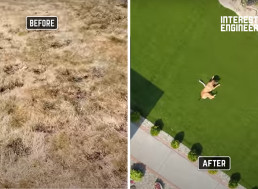 How to Raise Your Lawn Game With Synthetic Turf Grass