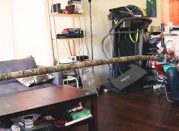 Wacky Inventor Built an Extendable Robotic Arm for Social Distancing