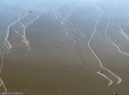 How do the "sailing stones" of Death Valley travel across the desert?