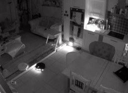 This is What Robot Vacuums Do When You Sleep