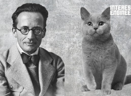 Schrödinger’s Cat Explained So You Can Finally Understand It