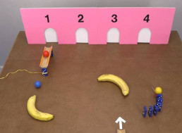 These Rube Goldberg Mechanisms Will Keep You Guessing as to Where the Ball Goes Next