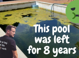 This Old Pool Has Developed Its Own Mini-Ecosystem