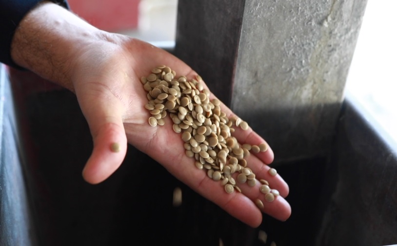 trash recycling pellets