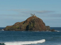 This Is the Story of the Island That Keeps Appearing and Disappearing