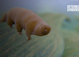 Back From the Dead: 5 Ancient Organisms Brought Back to Life