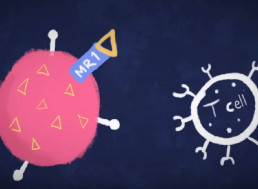 How Scientists May Have Accidentally Found a Cure for All Cancers